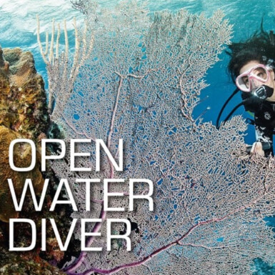 Open Water Diver Course