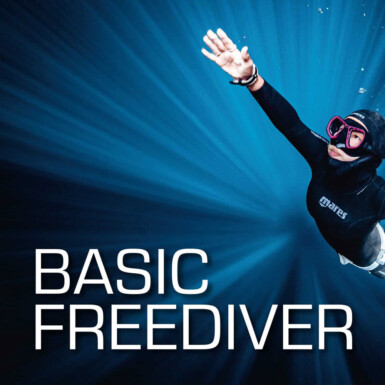 SSI Basic Freediver