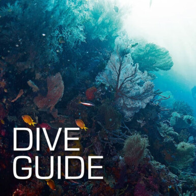 SSI Dive Guide