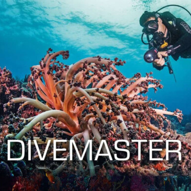 SSI Divemaster