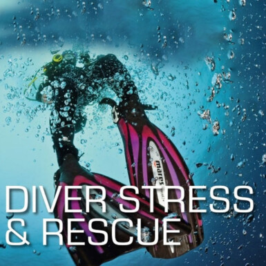SSI Diver Stress & Rescue