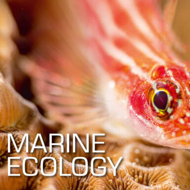 SSI Marine Ecology