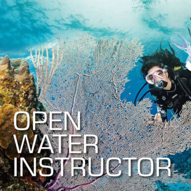 SSI Open Water Instructor