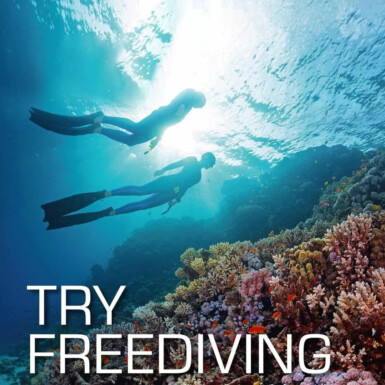SSI Try Freediving